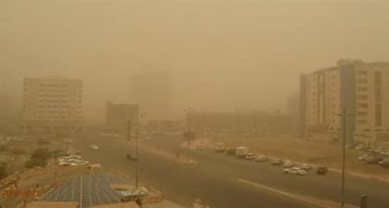 %86 من عوالق الهواء غبار وكبريتات.. واقتراحات لتحسين جودته