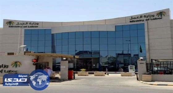 " التنمية الاجتماعية " تدعم المرأة العاملة