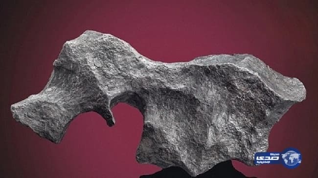 الكشف عن هوية مُنفذ تفجير بطرسبرغ بروسيا