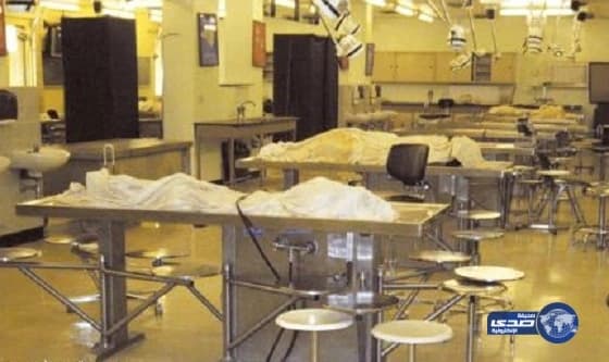 بالفيديو.. مرشد سياحي «سبعيني» لا يقرأ ولا يكتب.. ويجيد 7 لغات