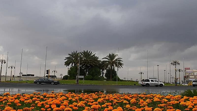 تبوك تسجل أعلى معدل لهطول الأمطار في تيماء