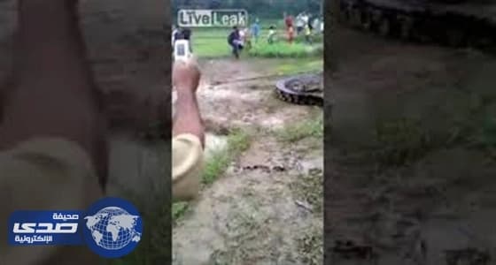 بالفيديو.. مشاجرة بين أهالي قرية وتمساح ضخم بحقل أرز
