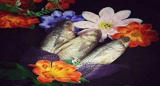 بالصور.. جلسة تصوير للفسيخ تشعل مواقع التواصل الاجتماعي