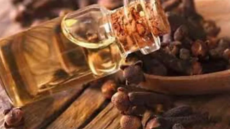 فوائد مدهشة لزيت القرنفل