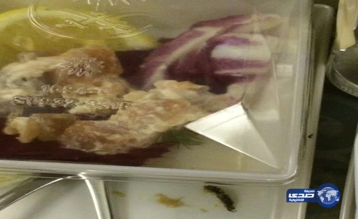 الأرصاد: تقلبات جوية تؤثر على معظم المناطق بداية من الأربعاء القادم 