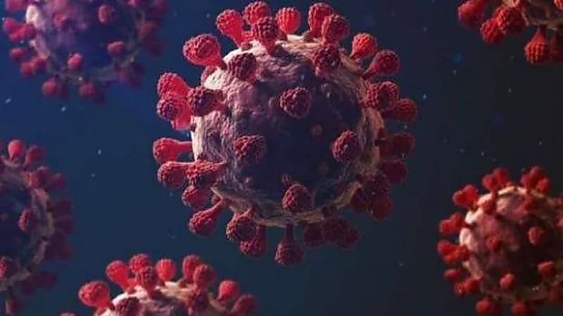 عالم فيروسات يكشف عن توقعاته بشأن كورونا خلال الفترة المقبلة 