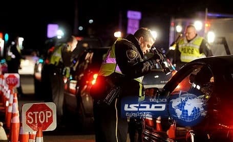 ببغاء يفضح صاحبه عند نقطة تفتيش