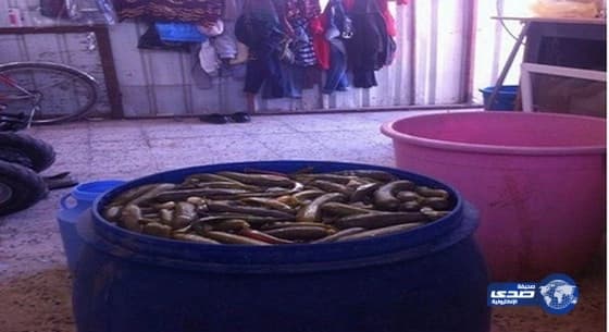 ضبط 4 أطنان مخلل في مستودعات غير مرخصة بالجوف