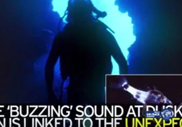 قائد قوات أمن المنشآت: نجاح مراحل تفويج الحجاج