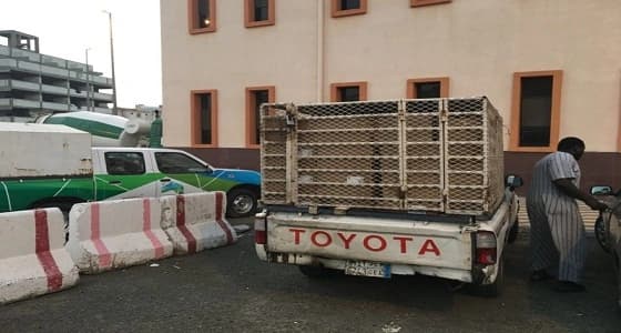 بالصور.. ضبط مواد غذائية تالفة قبل تهريبها لـ " مكة "