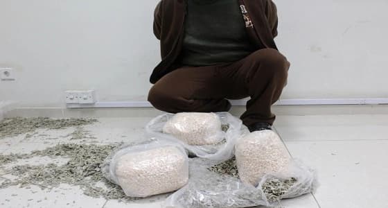 جمرك حالة عمار يحبط محاولة تهريب قرابة 40 ألف حبة كبتاجون