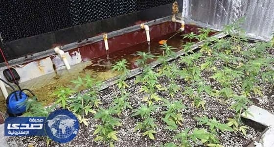 بالصور.. كويتي يحول منزله لمصنع مخدرات