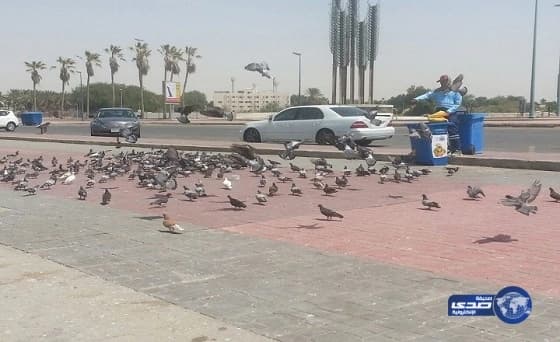 رئيس جامعة الباحة يكشف عن الهدف من المكاتب الاستراتيجية "فيديو"