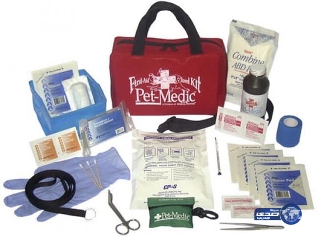 الأميرة البندري تطالب بتطوير آليات الاستحقاق لتقديم الدعم الحكومي