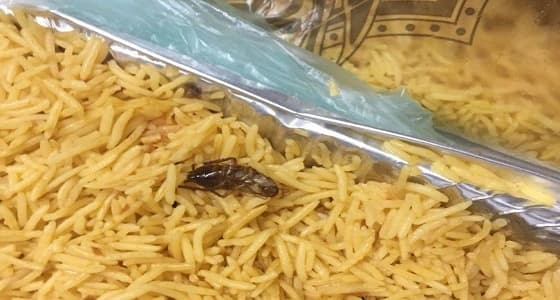 وجبة بـ " الصراصير " في بخاري بالمظيلف