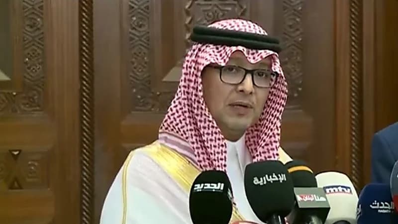 المملكة تضبط أكثر من 700 مليون حبة مخدرة قادمة من لبنان (فيديو)