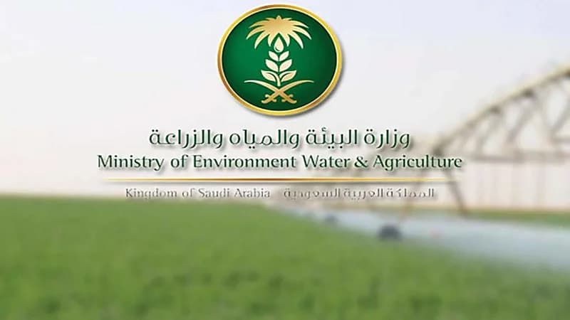 صندوق التنمية الزراعية يطلق خدمة مصرفية إلكترونية لتنفيذ العمليات البنكية
