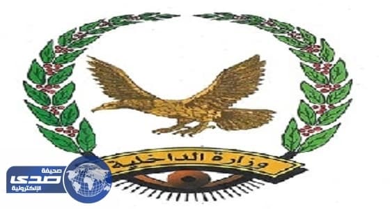 الداخلية اليمنية: الميليشيات دمرت المواقع الأثرية ونهبتها