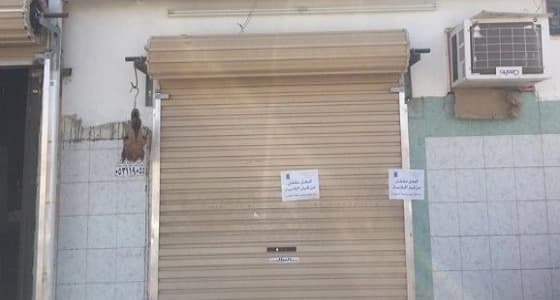 بلدية بيشة تغلق ملحمة لوجود عجل مريض