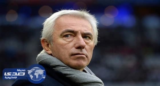 بالفيديو.. مارفيك: الأخضر أحق بالتأهل للمونديال من منتخب هولندا