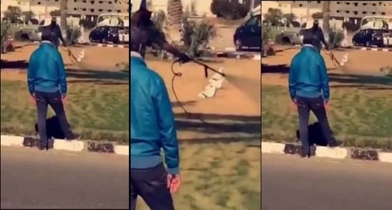 بالفيديو.. تزيين مزيف لشوارع الطائف تزامنا مع زيارة أمير مكة