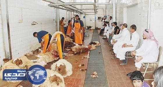 جولة ميدانية لـ " صحة البيئة " على مسالخ عرعر