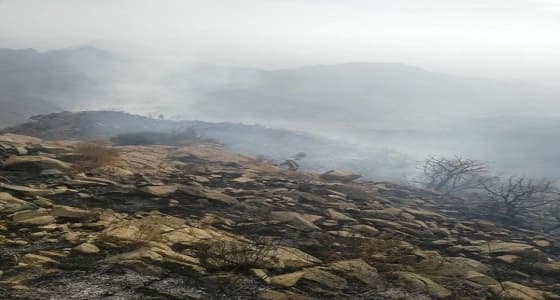 بالصور.. " مدني النماص " يسيطر على حريق أشجار بمنطقة جبلية