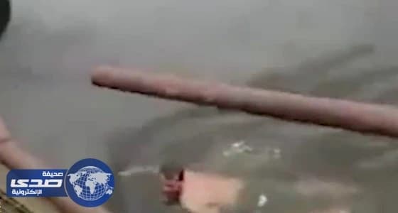 بالفيديو.. تمساح يلتهم ساحرًا حاول مصارعته