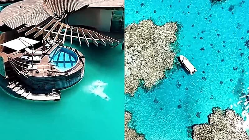 مشروع جزيرة أمهات الشيخ يخطف الأنظار بجماله الساحر .. فيديو