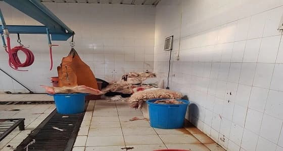 بالصور.. أمانة نجران تضبط مخالفات صحية في أحد نقاط الذبح