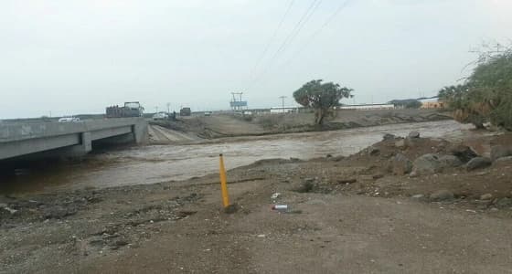 بلدية الساحل تجبر تجار الأعلاف على الانتقال للسوق الجديد.. والتجار يرفضون لخطورة موقعه