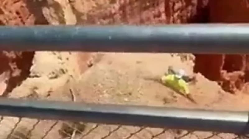 لقطات تحبس الأنفاس لمغامر كاد يسقط من حافة على ارتفاع شاهق .. فيديو