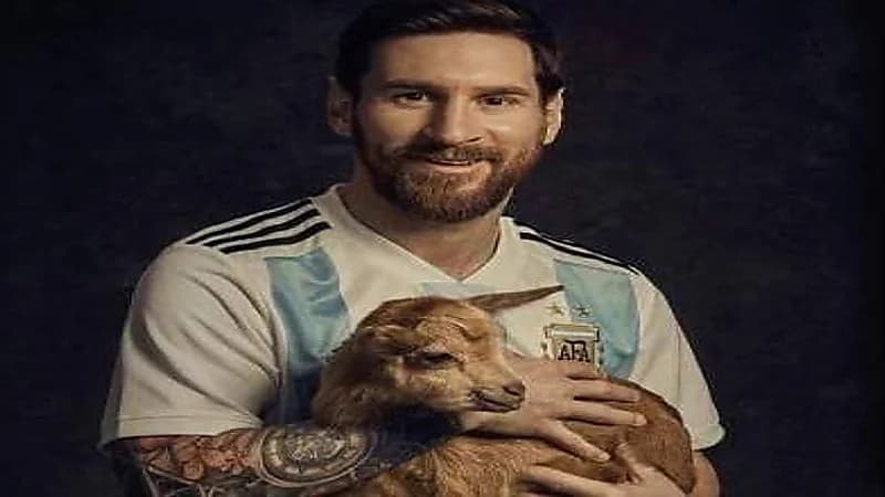 شركة ليز تشكل صورة ميسي باستخدام 808 عنزة .. فيديو