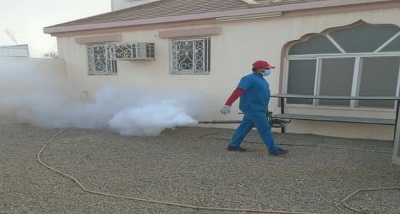 بالصور.. حملة للحد من التلوث ومكافحة الحشرات بنجران