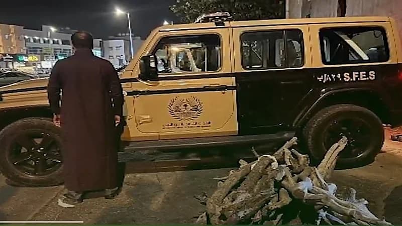 الأمن البيئي يضبط 22 مخالفاً لنظام البيئة خلال أسبوع .. فيديو