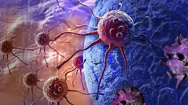 ظهور الطفرة الأصلية المسببة للسرطان لأول مرة منذ 40 عاما