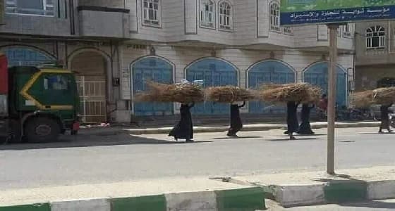 ماخلفه انتهاكات الحوثي.. اليمنيات يحملن الحطب لعدم توفر الغاز