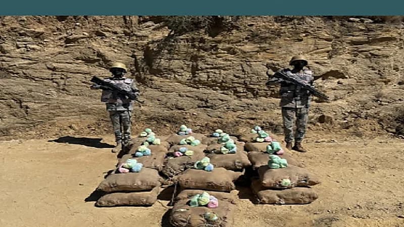 إحباط ترويج 825 كيلوجرامًا من القات بجازان وعسير