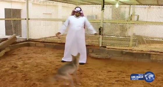 والدة الطفلة المعنفة «دارين» تؤكد تنازلها عن نفقة ابنتها مقابل حضانتها