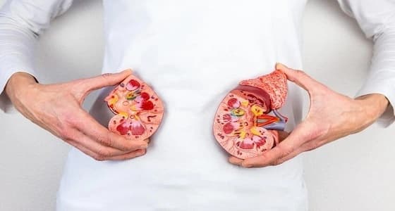 تعرف على أعراض الإصابة بحصوات الكلى وأسبابها