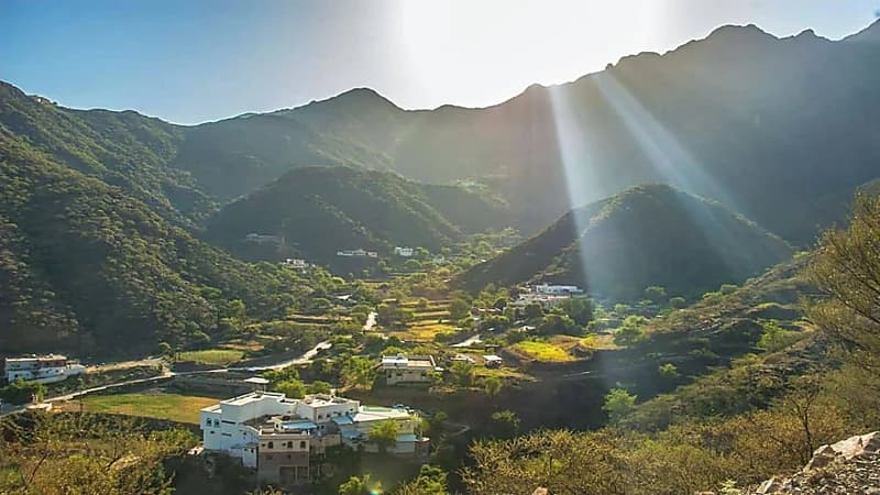 المسند: الشمس تتعامد فوق أبها اليوم