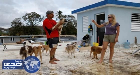 زوجان يتحديان إعصار ماريا