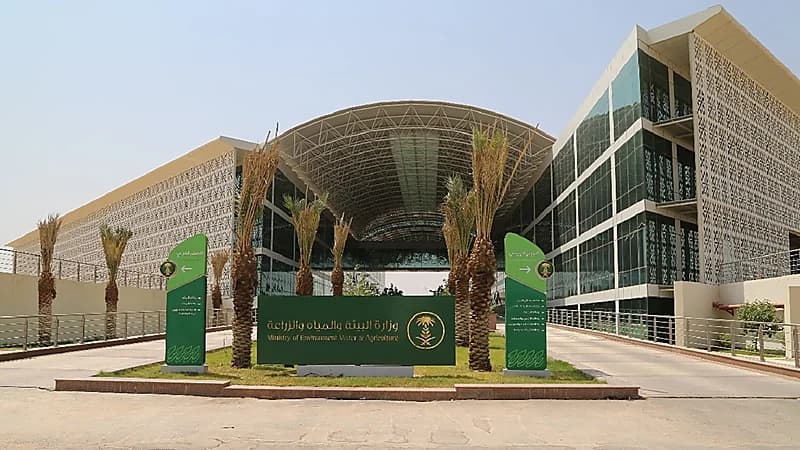 "البيئة": الاحتطاب ممنوع بموجب النظام ولا يصرح إلا للبدائل
