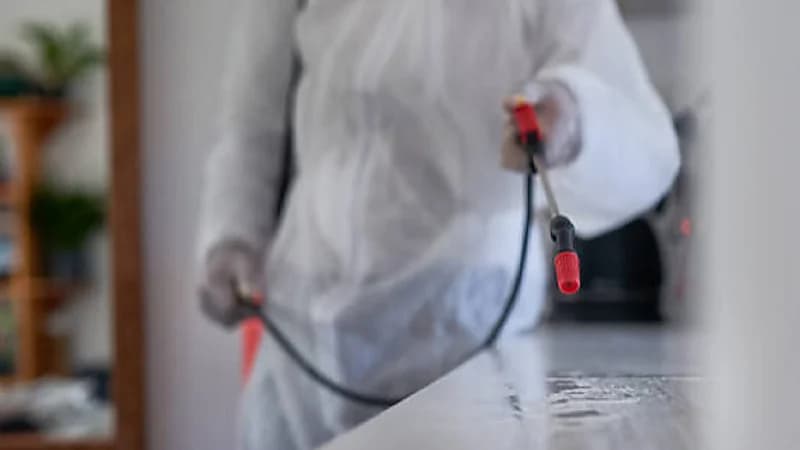 6 أفعال لا يجب لربة المنزل تجاهلها عند رش المبيدات