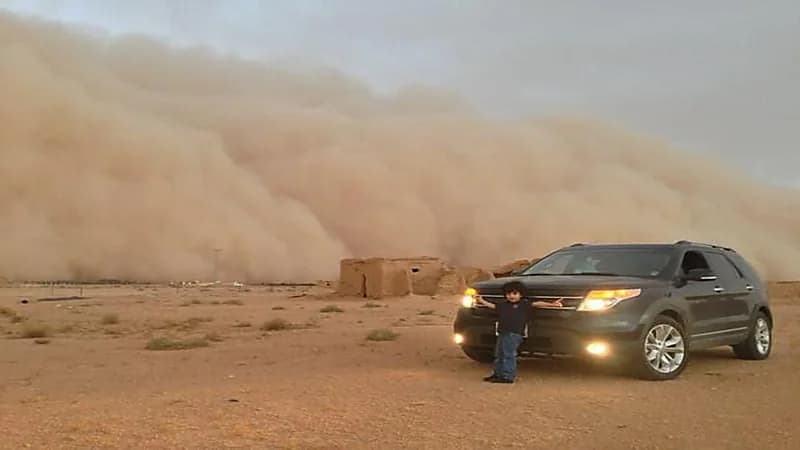 "المسند" يوضح العواصف الغبارية التي تؤثر على المملكة