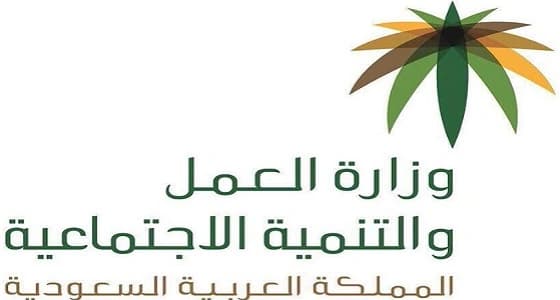 العمل تكشف حقيقة توفير فرص عمل لإحدى الجنسيات العربية