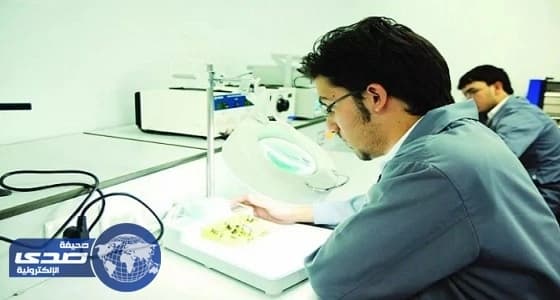 مركز متخصص لتأهيل المواطنين في إنشاءات حقول الغاز والبترول