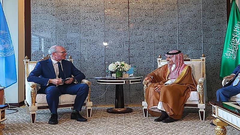 وزير الخارجية يبحث مع نظيره الإيرلندي العلاقات الثنائية بين البلدين