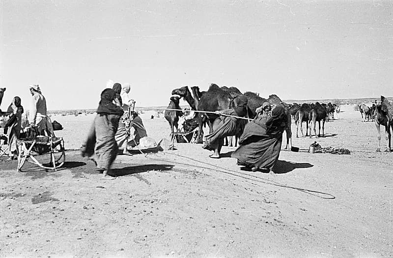 صورة رائعة تدعو للتأمل لنساء ينقلن الماء بالمملكة