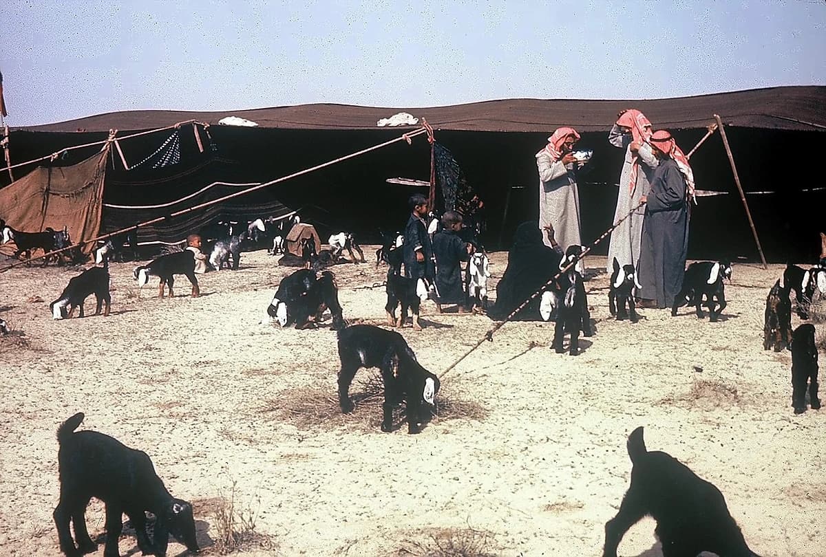 صورة جميلة من  بادية المملكة قبل 55 عام